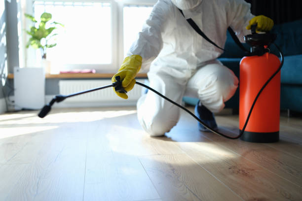 Reliable Odor Removal contractor in Burns, OR by Trauma Clean Pros